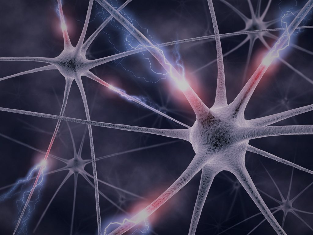 Les neurones miroirs et leur action bienfaisante Shafik Ben Amar Hypnose Bourg-la-Reine