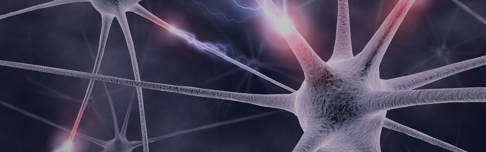 Les neurones miroirs et leur action bienfaisante Shafik Ben Amar Hypnose Bourg-la-Reine